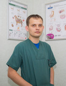 Новиков Николай Александрович