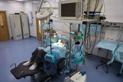 Стоматология Домодент, с рейтингом 4.9 - находится по адресу Московская область, Домодедово, Каширское шоссе, 83 