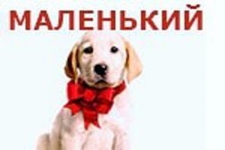 Ветеринарная клиника Маленький друг, с рейтингом 3.3 - находится по адресу Краснодарский край, Анапа, Омелькова, 20 