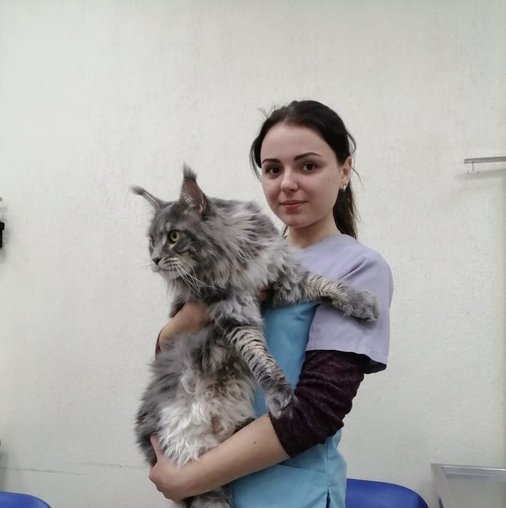 Виктория Игоревна Волкова