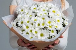 Магазин Цветов Первоуральск Круглосуточный Магазин Цветов Первоуральск Круглосуточный