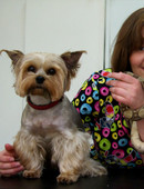 Артёмова Анна Николаевна