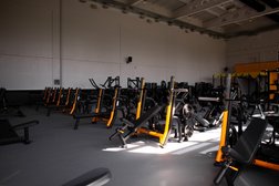 Фитнес-клуб Alex Fitness, с рейтингом 2.8 - находится по адресу Воронеж, улица 45 Стрелковой Дивизии, 275а 
