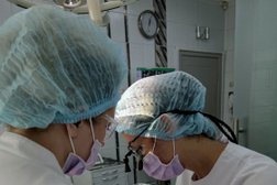 Стоматологическая клиника Апекс, с рейтингом 4.8 - находится по адресу Красноярск, улица Бограда, 101 