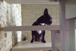 Гостиница для животных Уют, с рейтингом 1.9 - находится по адресу Московская область, д. Высоково, Железнодорожная улица, 34 