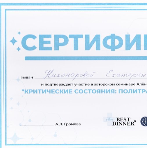 Екатерина Николаевна Никонорова