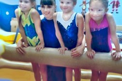 Спортивная школа олимпийского резерва Лидер, с рейтингом 3 - находится по адресу Московская область, Подольск, улица Гайдара, 11а 