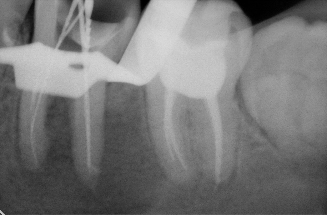 фотография работы Клиники доказательной психотерапии Alvi Clinic на метро Спортивная