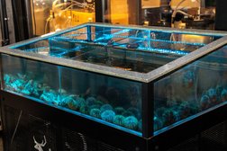 Ресторан Jager Meet to eat, с рейтингом 4.8 - находится по адресу Санкт-Петербург, Московский проспект, 171 