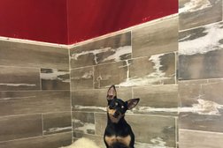 Отель для кошек и собак Усатый Нянь, с рейтингом 3.5 - находится по адресу Республика Татарстан, Казань, Адмиралтейская улица, 3 к1 