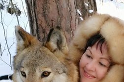 Адвокатский кабинет Семерной С.В., с рейтингом 2.8 - находится по адресу Ярославль, улица Максимова, 5 