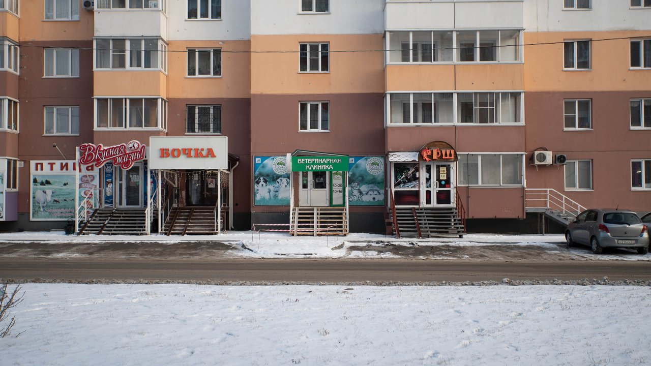 ветклиника силикатная. ника ветеринарная клиника екатеринбург. ветеринарная клиника пенза. ветеринарная клиника в рыбацком. лазурная ул.