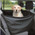 фотография MON-CAR.RU
