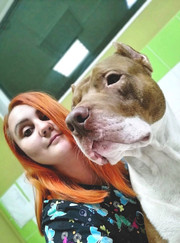 Ветеринарный врач-терапевт, ветеринарный врач УЗИ Александра Сергеевна Емельянова