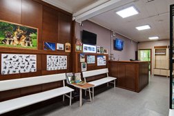 Ветеринарная клиника Кот и доГ, с рейтингом 4.8 - находится по адресу Москва, Учинская улица, 6 