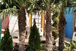 Садовый центр Летто, с рейтингом 3.4 - находится по адресу Краснодар, Уральская улица, 214 