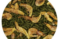 Зооцентр Эдем, с рейтингом 3.6 - находится по адресу Кемеровская область — Кузбасс, Новокузнецк, проспект Металлургов, 3 