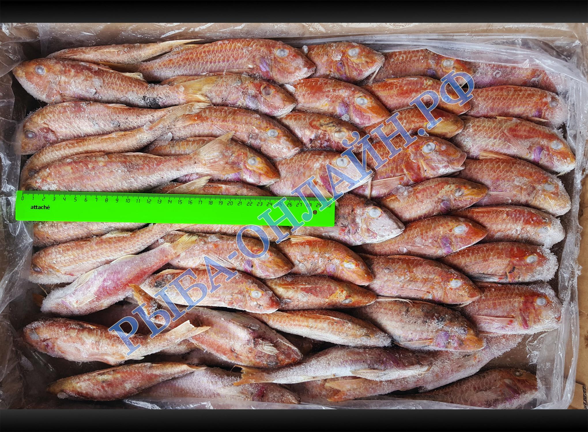 склад рыбы в реутово. Смотреть фото склад рыбы в реутово. Смотреть картинку склад рыбы в реутово. Картинка про склад рыбы в реутово. Фото склад рыбы в реутово склад рыбы в реутово. Смотреть фото склад рыбы в реутово. Смотреть картинку склад рыбы в реутово. Картинка про склад рыбы в реутово. Фото склад рыбы в реутово