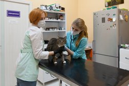 Зоомагазин Зоомафия, с рейтингом 3.8 - находится по адресу Калуга, Хорошая улица, 2 