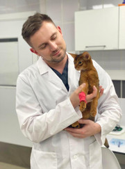 Ветеринарный врач УЗИ, ветеринар Алексей Александрович Базылевский