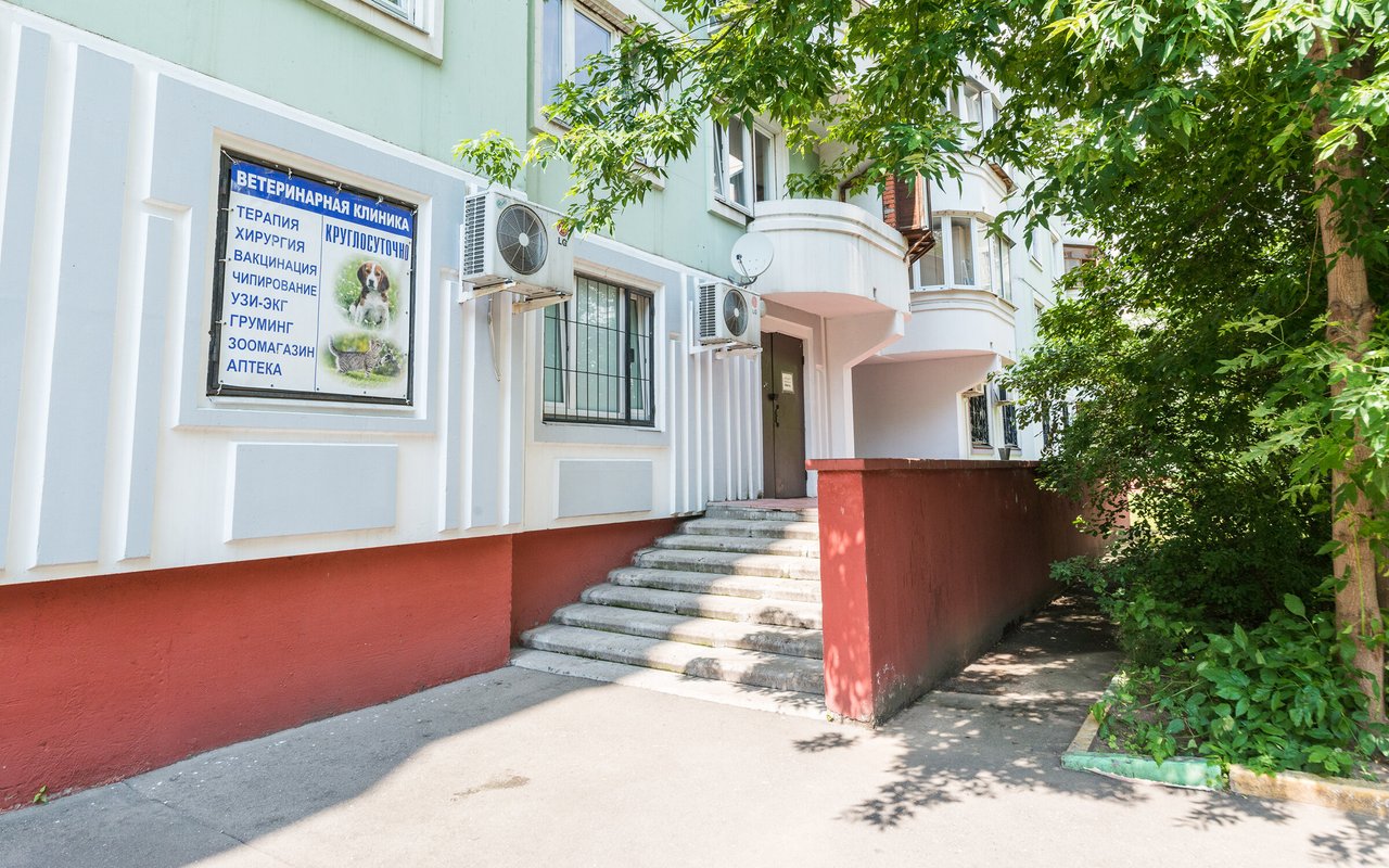 Ветклиника раденис в андреевке. Ветклиника андреевка зеленоград. Раденис ветклиника зеленоград. Ветклиника раденис в андреевке. Андреевка 31б зеленоград.