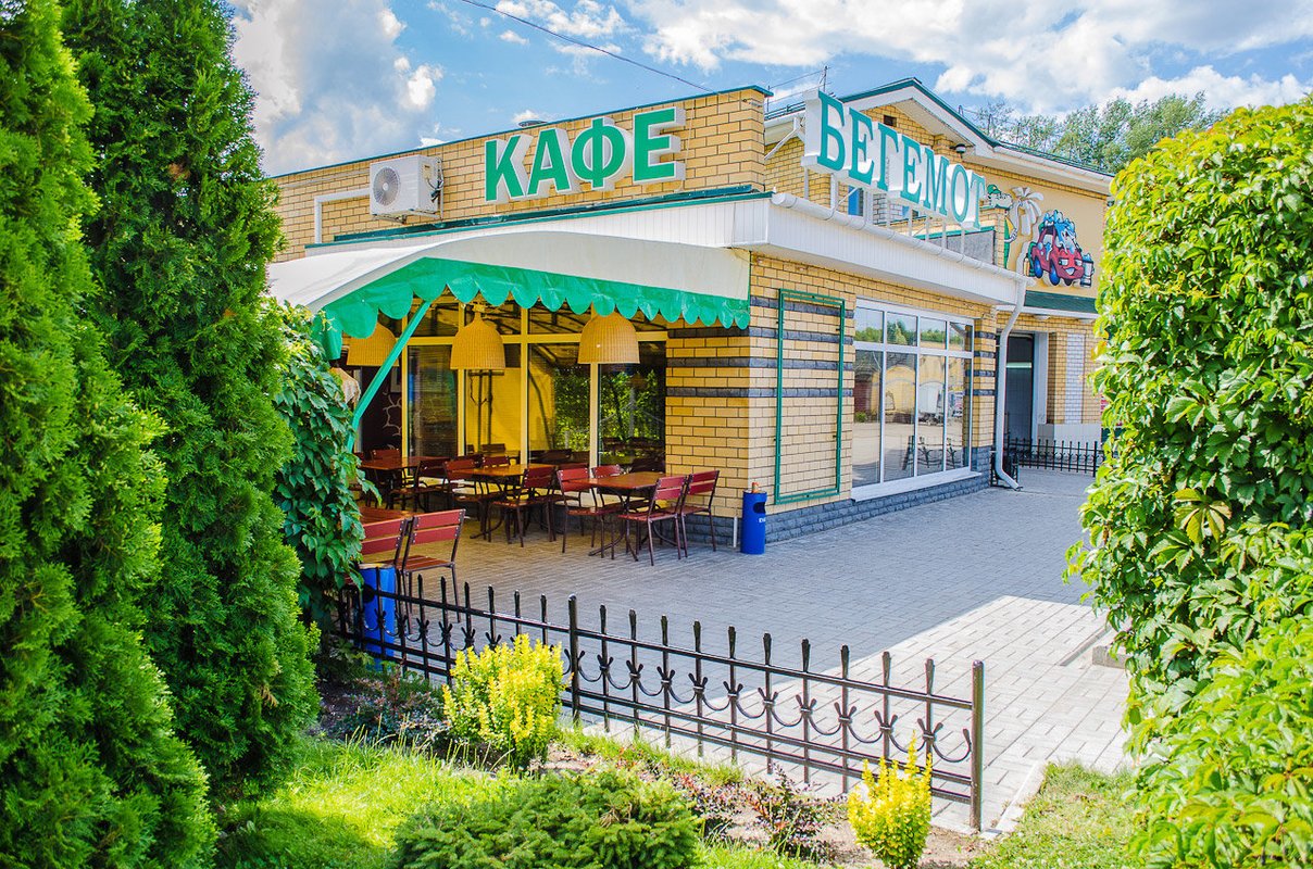 Кафе бегемот