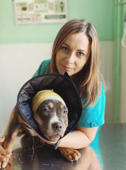 Ветеринарный хирург, ветеринар Наталья Алексеевна Ликкей