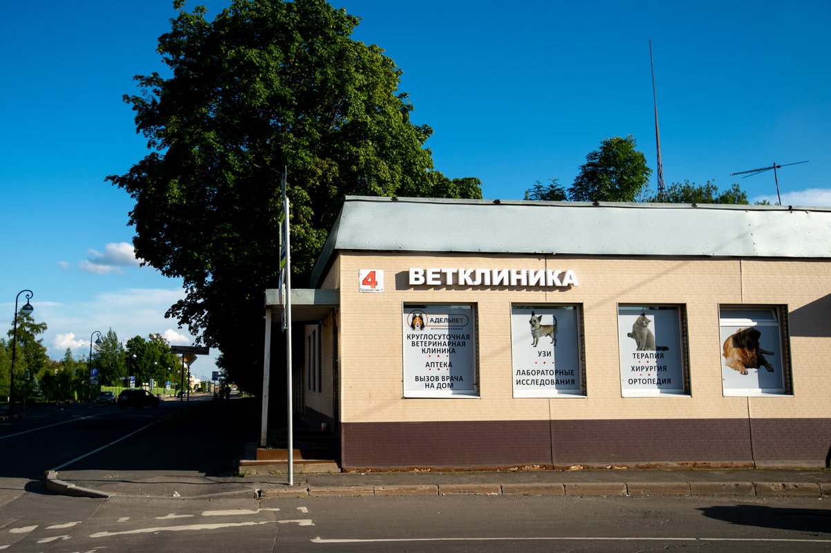 Ветклиника пушкин спб. Ветклиника в Пушкине на Гусарской.