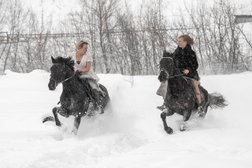 Конный двор "ИгОгО", с рейтингом 4.9 - находится по адресу Московская область, городской округ Красногорск, деревня Путилково, Путилковское шоссе, 16А 