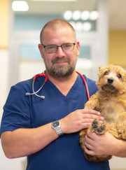 Ветеринарный онколог, ветеринарный хирург Игорь Александрович Пасиченко