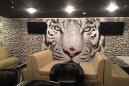 Караоке-клуб White Tiger, с рейтингом 3.9 - находится по адресу Липецк, Советская улица, 66Б 