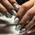 фотография Nail white cat