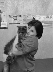 Главный ветеринарный врач Алена Сергеевна Крылова