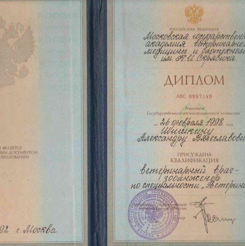Александр Вячеславович Шишкин