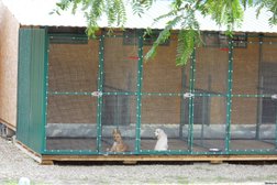 Центр дрессировки собак Kinolog-dog, с рейтингом 3 - находится по адресу Краснодарский край, ст-ца Новотитаровская, Крайняя, 102/1 