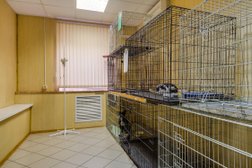 Ветеринарная клиника Айболит, с рейтингом 3.5 - находится по адресу Московская область, Балашиха, микрорайон Салтыковка, Восточная улица, 21 