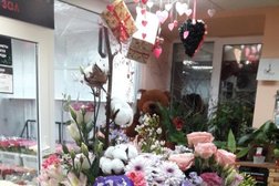 Цветочная база Флория, с рейтингом 3.9 - находится по адресу Нижний Новгород, Щербинки 1-й микрорайон, 19 