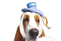 Ветеринарная клиника Баст, с рейтингом 2.9 - находится по адресу Омск, Космический проспект, 91 