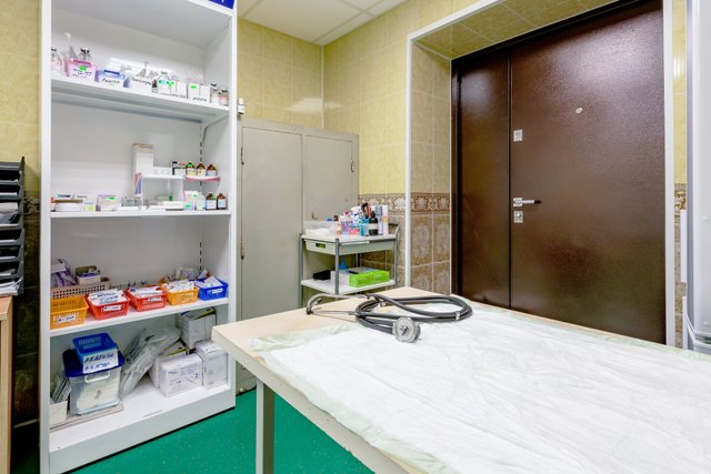 Ягуар ветклиника. Ягуар ветклиника. Ягуар ветклиника. Ветклиника ягуар на витебском пр. Ягуар ветклиника.