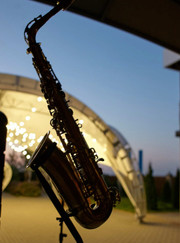 Музыкант Мовсесян Самсон