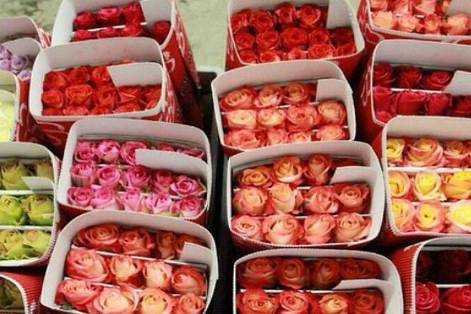 cvetochnaya baza vse puchkom na sovetskoj