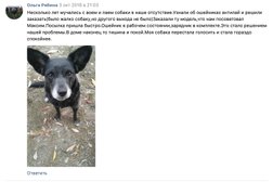 Офис онлайн-магазина gavgav.net, с рейтингом 3.3 - находится по адресу Республика Татарстан, Казань, проспект Победы, 18Б 