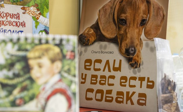 Делаем сами одежду собаке