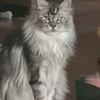фото от пользователя Лилия в отзыве о ветеринарной клинике Happy pets