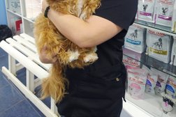 Ветеринарная клиника Тавровский, с рейтингом 3.7 - находится по адресу Белгородская область, Белгородский район, село Таврово, микрорайон Таврово-4, Центральная улица, 1А 