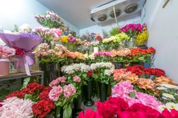 Студия флористики и декора Дари цветы, с рейтингом 4.2 - находится по адресу Тверь, Новоторжская, 4 