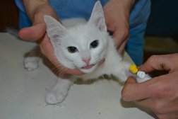 Ветеринарная клиника доктора Кутлиматова, с рейтингом 3.5 - находится по адресу Республика Башкортостан, Уфа, Менделеева, 201/1 