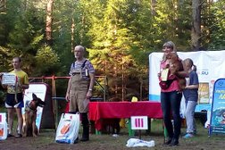Кинологический клуб Ральф, с рейтингом 4.1 - находится по адресу Нижний Новгород, проспект Гагарина, 192 