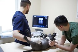 Ветеринарная клиника VetLife, с рейтингом 4.9 - находится по адресу Екатеринбург, Павлодарская, 48а 