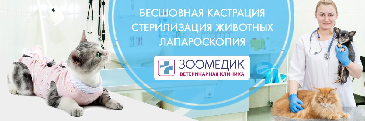 фотография Ветеринарной клиники Зоомедик на улице Борисовские Пруды